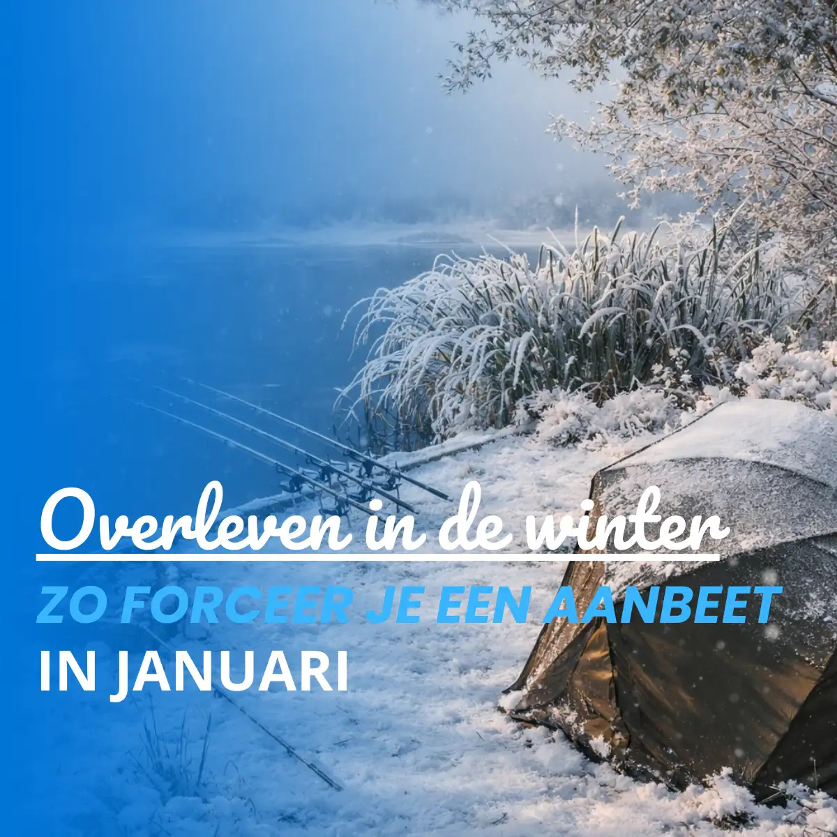 Karpervissen in de winter