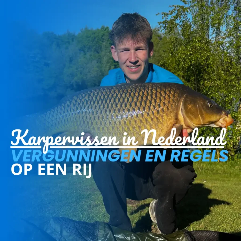 Karpervissen in Nederland